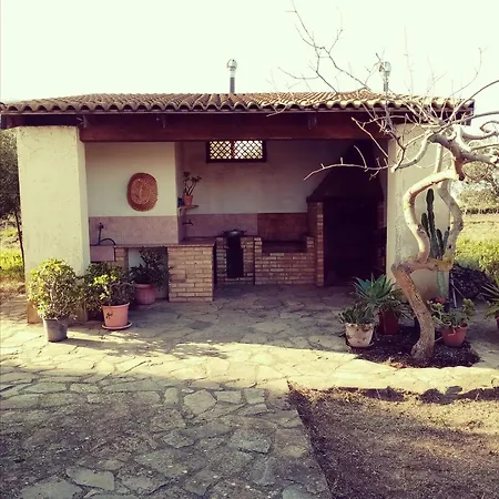 Torre Salsa * سيكوليانا