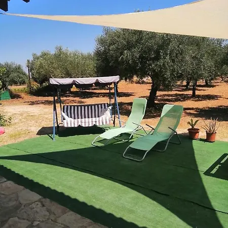 Torre Salsa * سيكوليانا