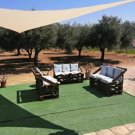Torre Salsa سيكوليانا